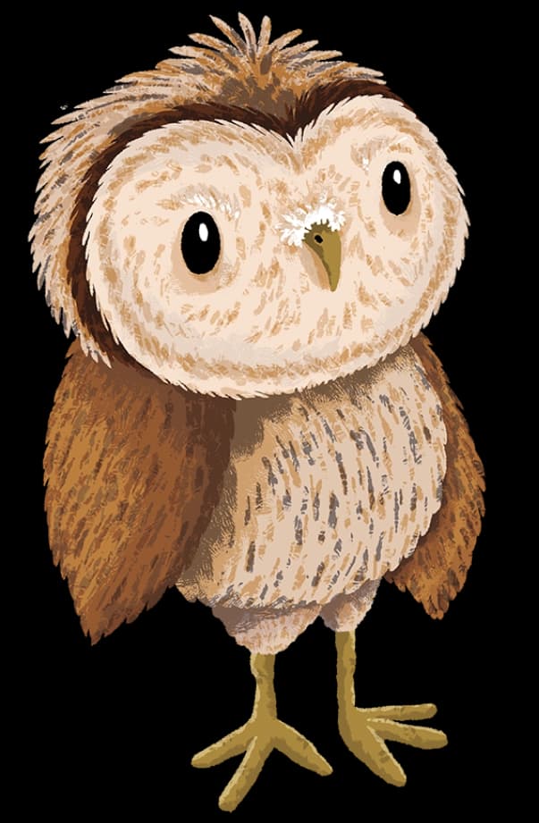 owl